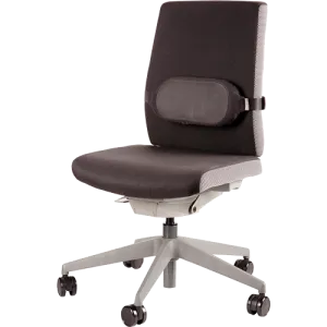 Fellowes I-Spire Series Lumbar Support - Black