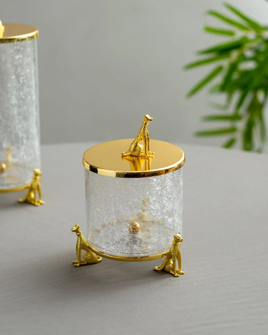 'Leopard' Fracturing Glass Containers - Set of 3