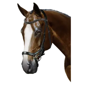 Mix & Match Custom Bridle - Black Ergonomic Bridle - Customer's Product with price 224.85 ID Uo1fQoA7TvU15GkgKC5uetPP