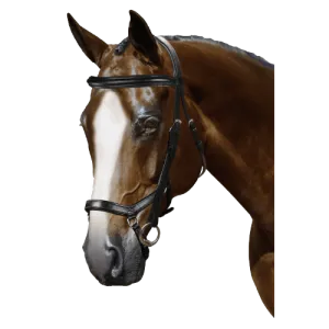 Mix & Match Custom Bridle - Black Ergonomic Bridle - Customer's Product with price 284.75 ID odnRxfSzNWYpzK7gTPCzNWfs