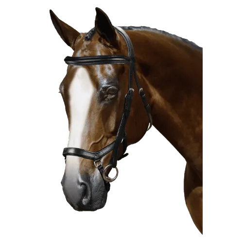 Mix & Match Custom Bridle - Black Ergonomic Bridle - Customer's Product with price 284.75 ID odnRxfSzNWYpzK7gTPCzNWfs