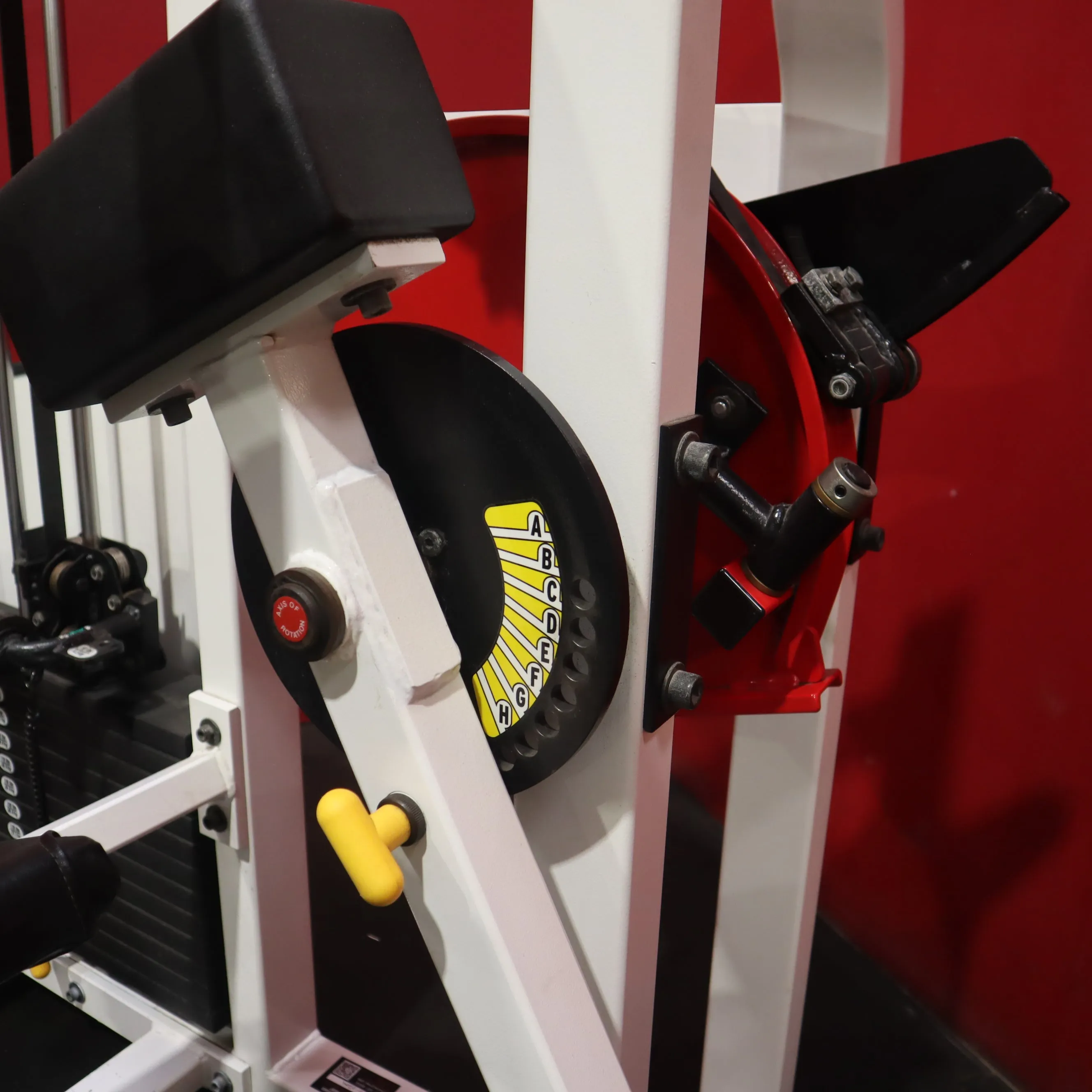 Strive Seated Leg Curl (Refurbished)