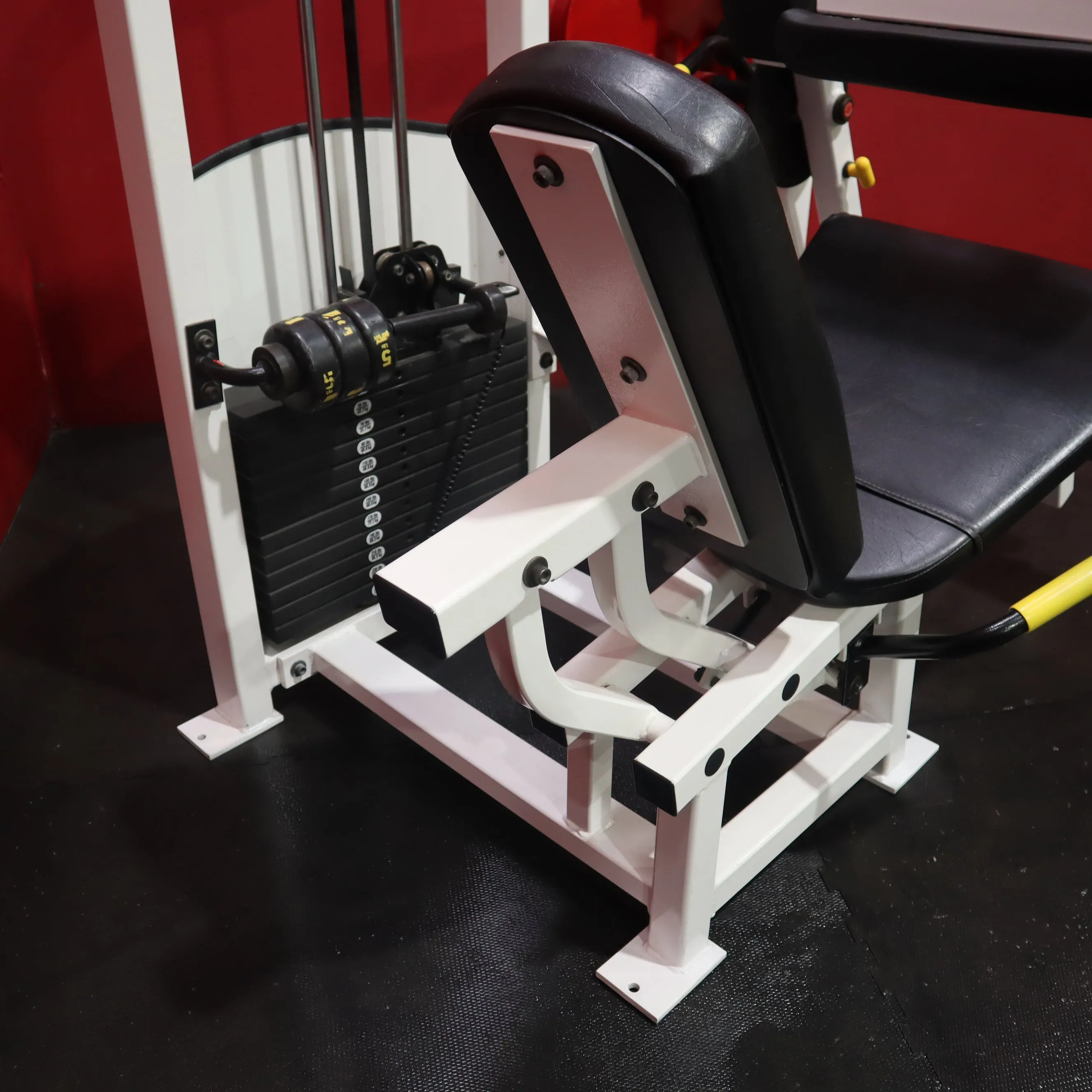 Strive Seated Leg Curl (Refurbished)