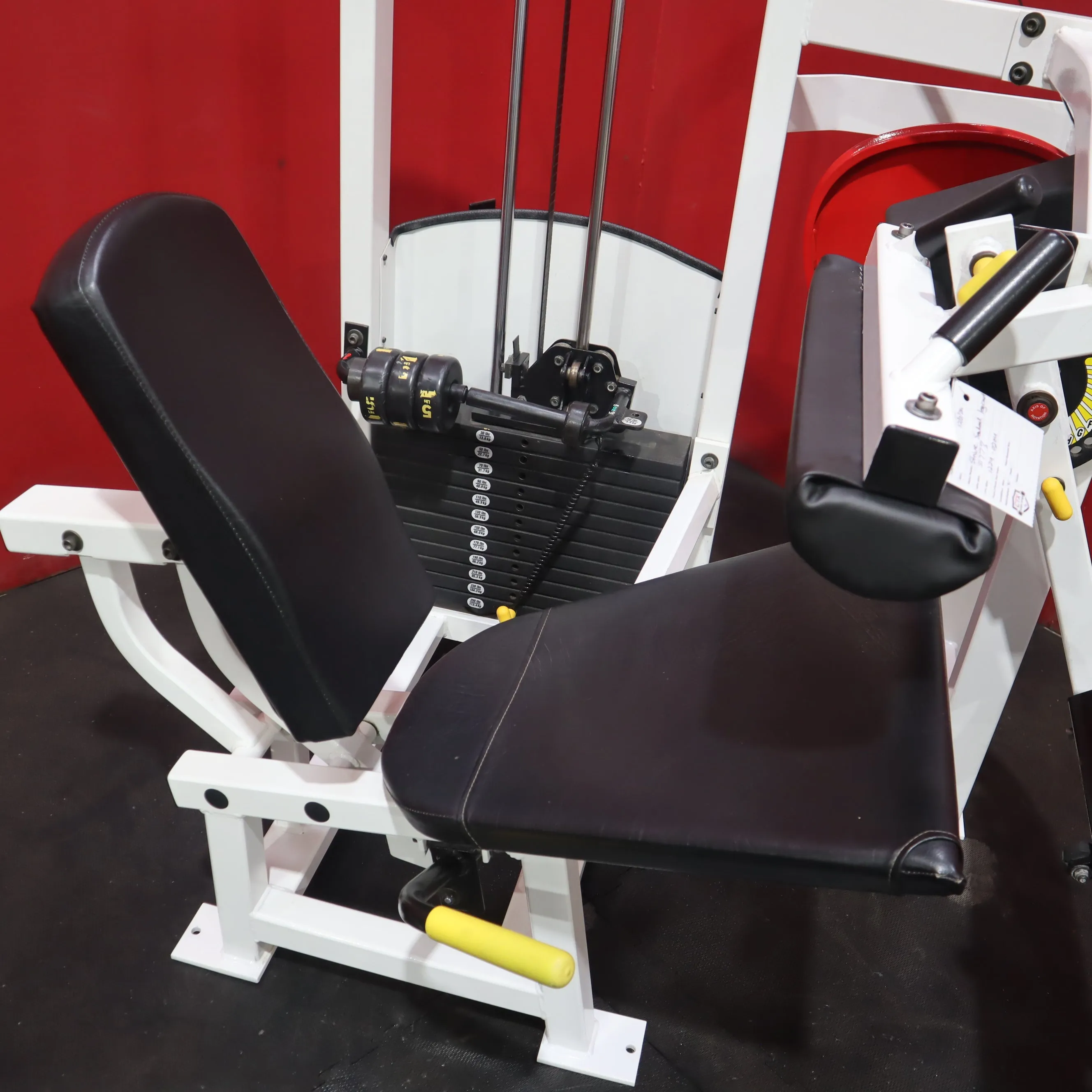 Strive Seated Leg Curl (Refurbished)